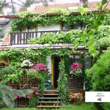 Apartament Pod Strzelecka Gora Jelenia Góra Екстериор снимка